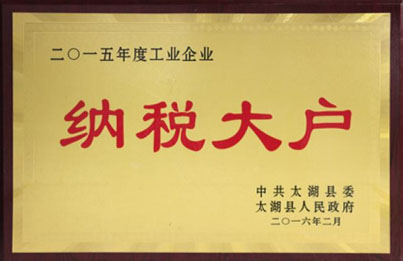 纳税大户.jpg