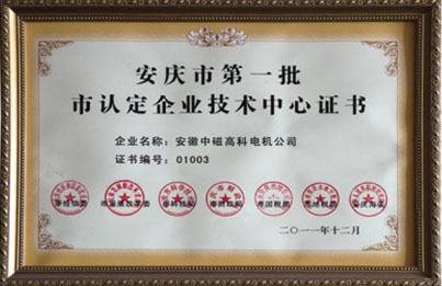 安庆市第一批市认定企业技术中心证书.jpg